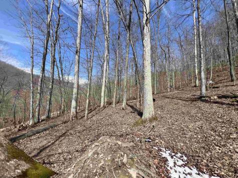1251 County Highway 40-11 Road Duck WV 25063