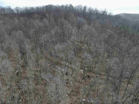 1251 County Highway 40-11 Road Duck WV 25063