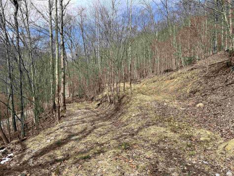 1251 County Highway 40-11 Road Duck WV 25063