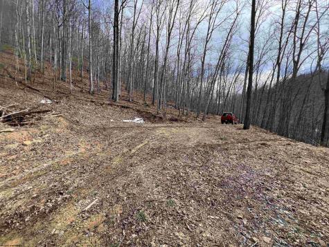 1251 County Highway 40-11 Road Duck WV 25063