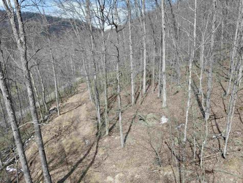 1251 County Highway 40-11 Road Duck WV 25063