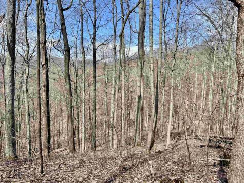 1251 County Highway 40-11 Road Duck WV 25063
