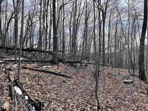 1251 County Highway 40-11 Road Duck WV 25063