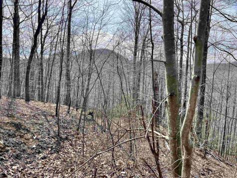 1251 County Highway 40-11 Road Duck WV 25063