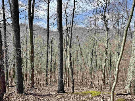 1251 County Highway 40-11 Road Duck WV 25063