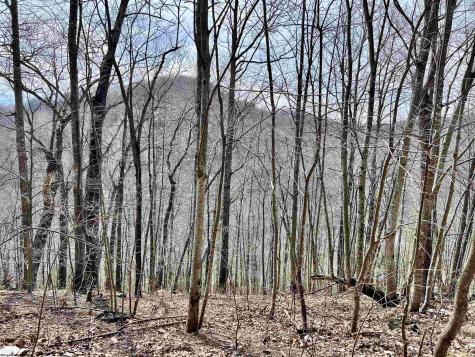 1251 County Highway 40-11 Road Duck WV 25063