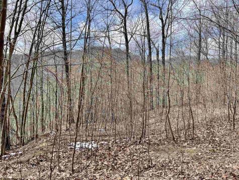 1251 County Highway 40-11 Road Duck WV 25063