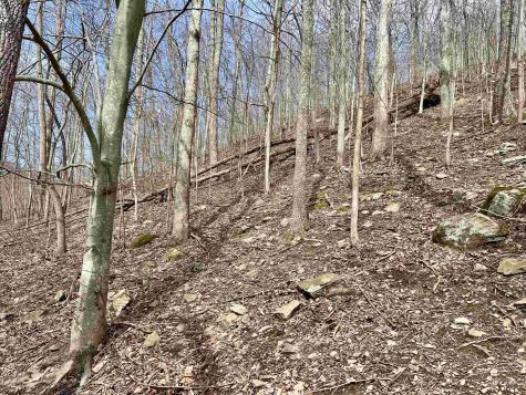 1251 County Highway 40-11 Road Duck WV 25063