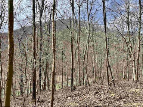 1251 County Highway 40-11 Road Duck WV 25063
