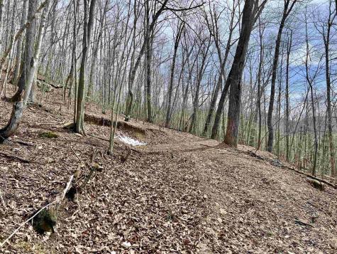 1251 County Highway 40-11 Road Duck WV 25063