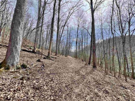 1251 County Highway 40-11 Road Duck WV 25063
