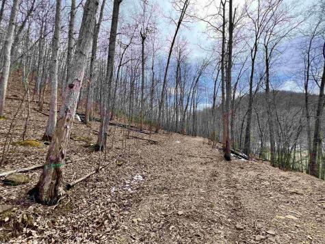 1251 County Highway 40-11 Road Duck WV 25063