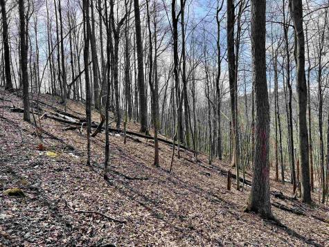 1251 County Highway 40-11 Road Duck WV 25063