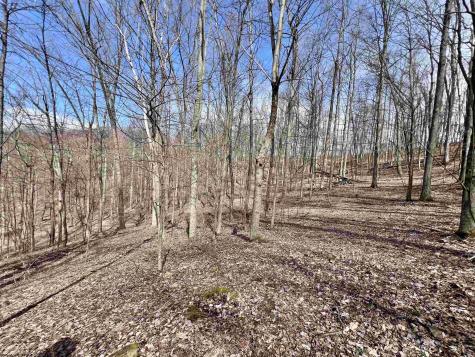 1251 County Highway 40-11 Road Duck WV 25063