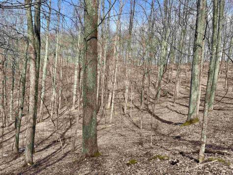 1251 County Highway 40-11 Road Duck WV 25063