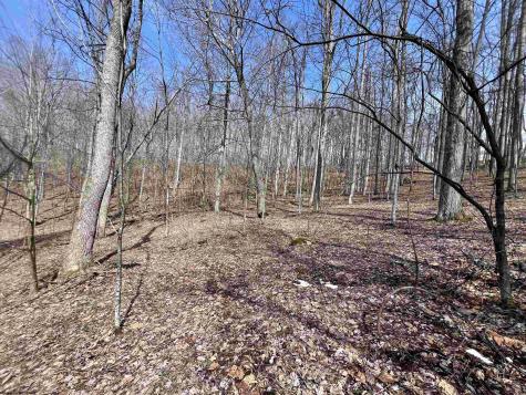 1251 County Highway 40-11 Road Duck WV 25063