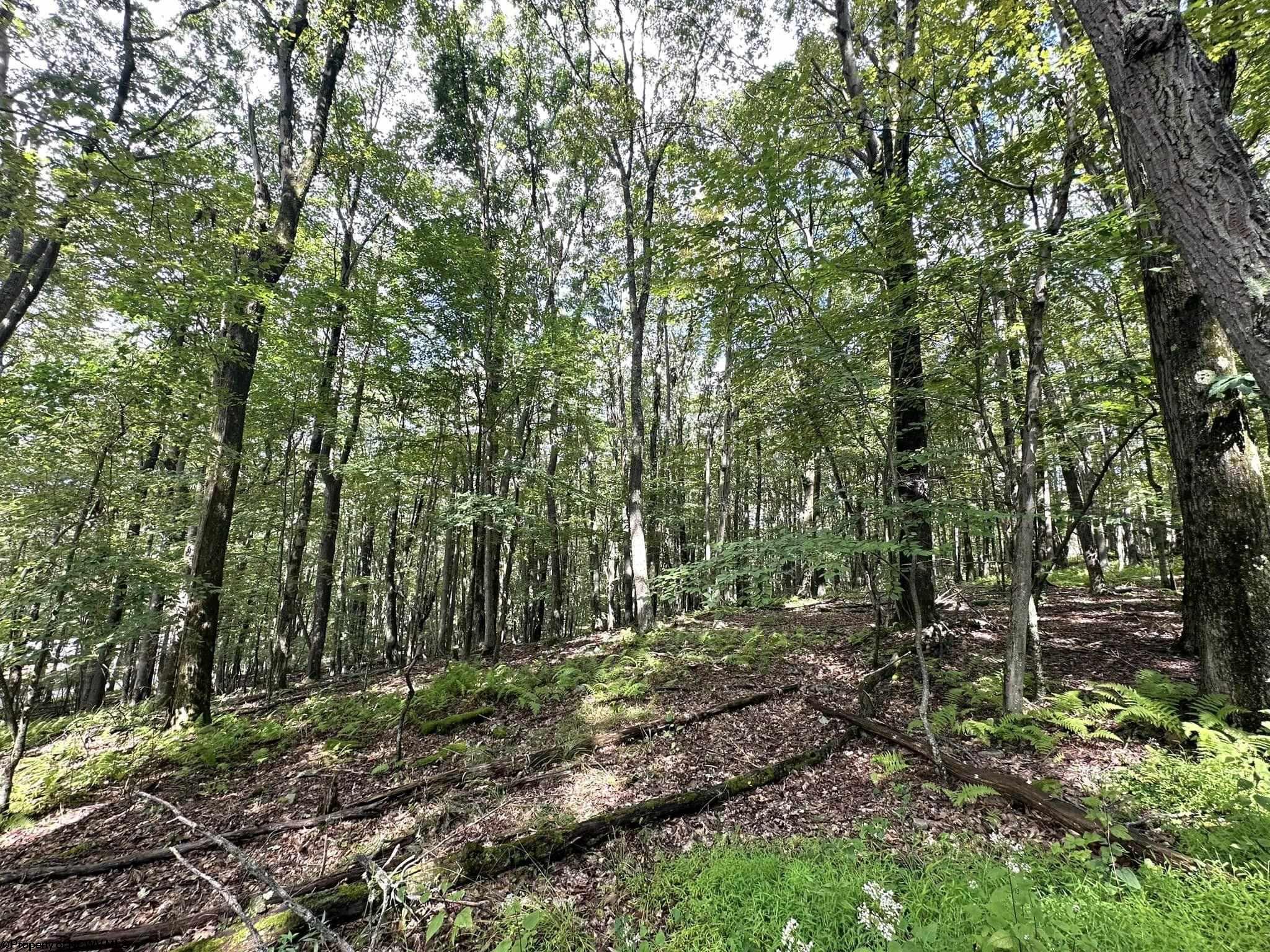 87 Ginger Court Terra Alta WV 26764