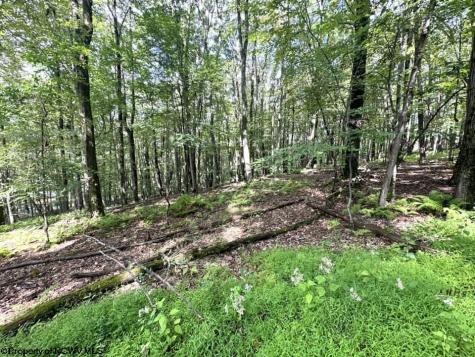 87 Ginger Court Terra Alta WV 26764