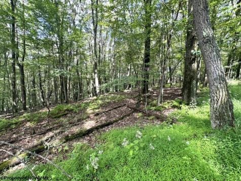 87 Ginger Court Terra Alta WV 26764