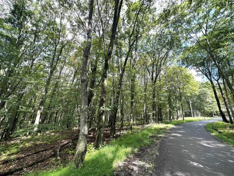 87 Ginger Court Terra Alta WV 26764