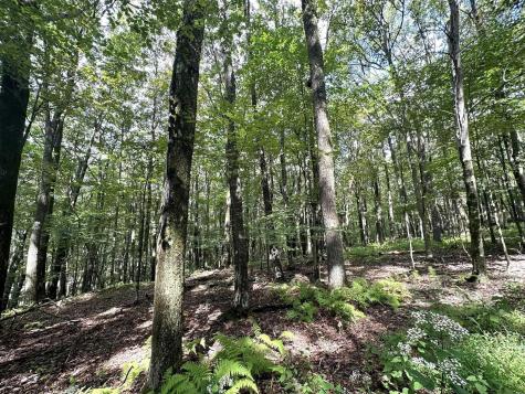 87 Ginger Court Terra Alta WV 26764