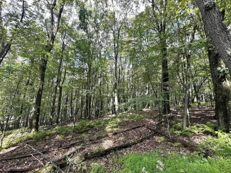 87 Ginger Court Terra Alta WV 26764