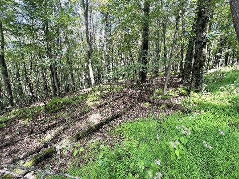 87 Ginger Court Terra Alta WV 26764