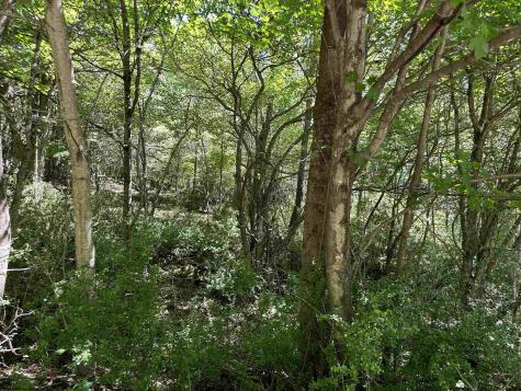 12 Alpenglow Ridge Drive Dryfork WV 26260