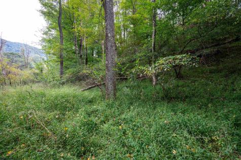 1 Saltlick Road Rowlesburg WV 26425
