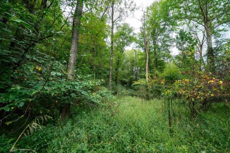 1 Saltlick Road Rowlesburg WV 26425