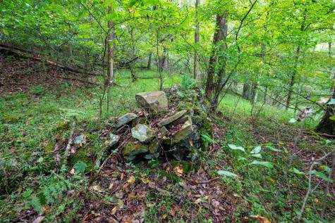 1 Saltlick Road Rowlesburg WV 26425