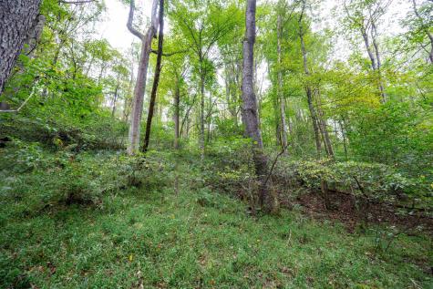 1 Saltlick Road Rowlesburg WV 26425