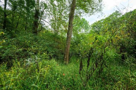 1 Saltlick Road Rowlesburg WV 26425