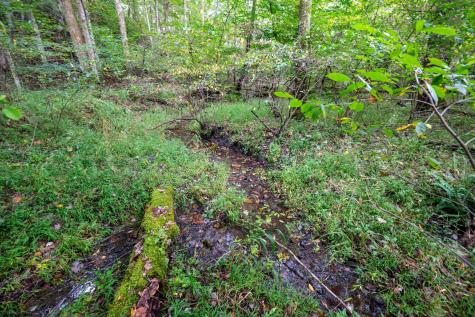 1 Saltlick Road Rowlesburg WV 26425