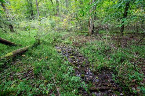 1 Saltlick Road Rowlesburg WV 26425