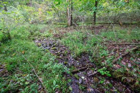 1 Saltlick Road Rowlesburg WV 26425