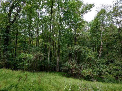 1 Saltlick Road Rowlesburg WV 26425