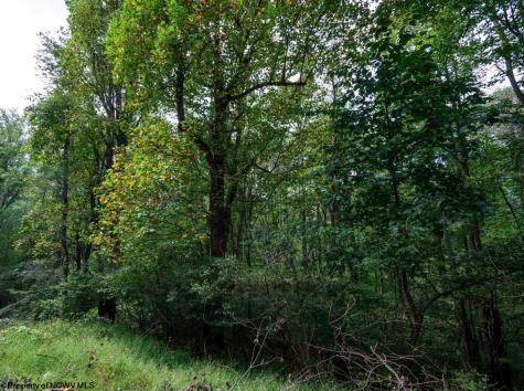 1 Saltlick Road Rowlesburg WV 26425