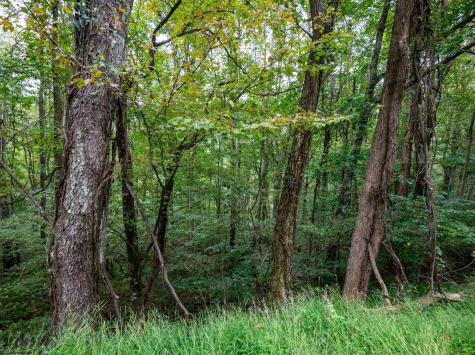 1 Saltlick Road Rowlesburg WV 26425