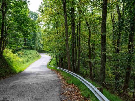 1 Saltlick Road Rowlesburg WV 26425