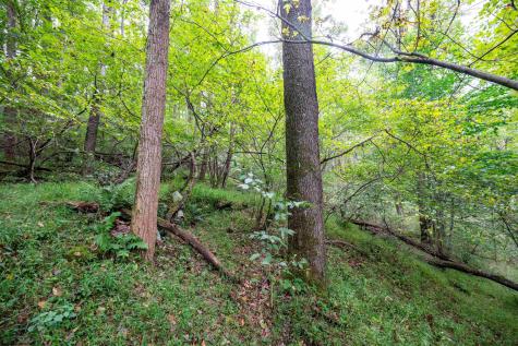 1 Saltlick Road Rowlesburg WV 26425