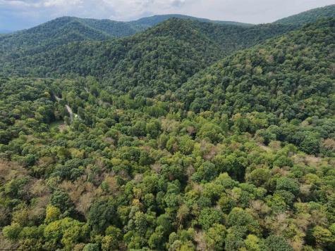 1 Saltlick Road Rowlesburg WV 26425