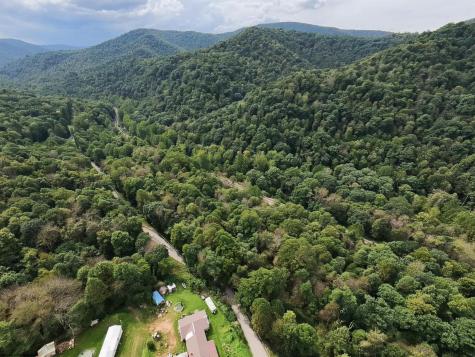 1 Saltlick Road Rowlesburg WV 26425