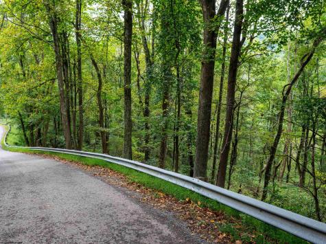 1 Saltlick Road Rowlesburg WV 26425