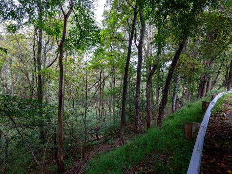 1 Saltlick Road Rowlesburg WV 26425