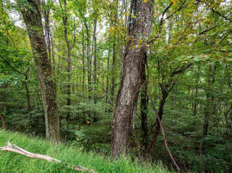 1 Saltlick Road Rowlesburg WV 26425