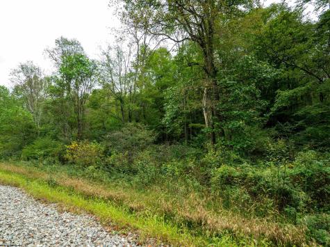 1 Saltlick Road Rowlesburg WV 26425