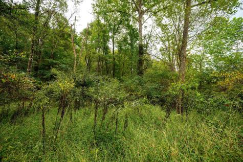 1 Saltlick Road Rowlesburg WV 26425