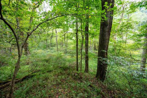 1 Saltlick Road Rowlesburg WV 26425