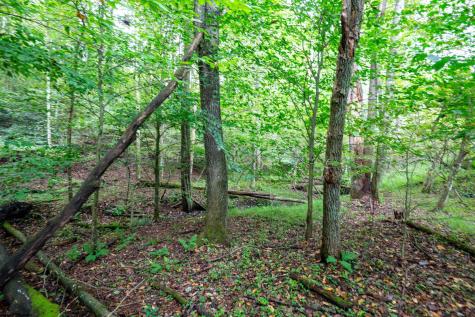 1 Saltlick Road Rowlesburg WV 26425